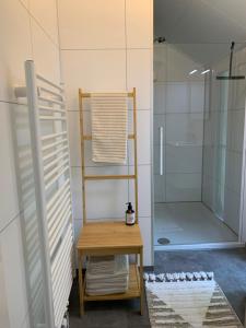 a shower room with a table and a glass shower stall at Daalders Plakkie in Elahuizen +12 photos