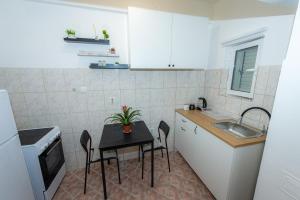 Kuchyň nebo kuchyňský kout v ubytování Studio Apartment Silva