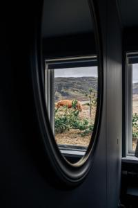 a view of a horse through a window at Golden Circle Luxury Cottages in Selfoss
