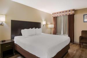 Pokój hotelowy z dużym łóżkiem i krzesłem w obiekcie SureStay Plus Hotel by Best Western Jackson w mieście Jackson