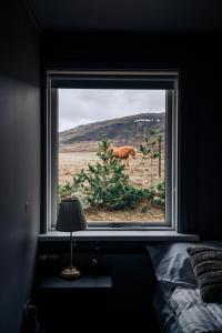 a window with a dog walking through a field at Golden Circle Luxury Cottages in Selfoss