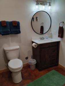 a bathroom with a toilet and a sink and a mirror at Grewingk Suite - Homer Seaplane Base in Homer