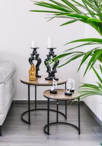 une table dans un salon avec une plante dans l'établissement La Casa de Checa, à Colmenar de Oreja