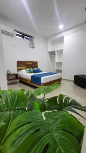 ein Schlafzimmer mit einem Bett und einer großen grünen Pflanze in der Unterkunft Amazonia Deluxe Calle 13 in Leticia