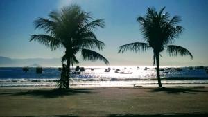 two palm trees on a beach with the ocean at Kitnet do Costa Praia do Pereque Guaruja!!! in Guarujá