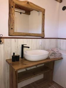 a bathroom with a white sink and a mirror at Cabanówka in Hoczew
