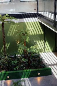 une chambre avec des palmiers dans un bâtiment dans l'établissement Ebb-Dunedin, à Dunedin