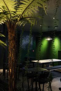 a room with a table and a palm tree at Ebb-Dunedin in Dunedin