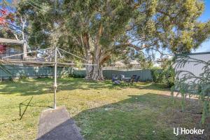 a yard with a tree and chairs and a fence at Cromarty Beach Cottage in the Heart of Anna Bay in Anna Bay