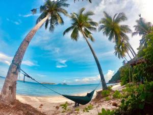 a hammock hanging between two palm trees on a beach at Redang Campstay Bamboo House in Redang Island