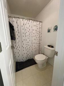 a bathroom with a toilet and a shower curtain at Full house charm mins frm DT Raleigh, NC State University in Raleigh