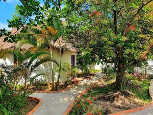 Zahrada ubytování Bohemiaz Resort and Spa Kampot