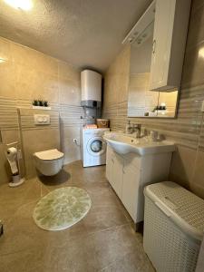 Un baño con lavabo y lavadora. en Holiday Home Lany, en Mravince