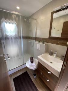Koupelna v ubytování Mobile home Fran