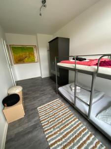 a dorm room with two bunk beds and a rug at Apartment im Grünen in Lichtenstein-Callnberg