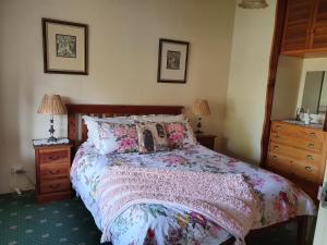 a bedroom with a bed and two dressers and a mirror at Belmont Homestead in Swansea