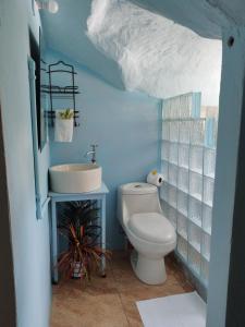 een badkamer met een wit toilet en een wastafel bij Domito Corcovado in Drake