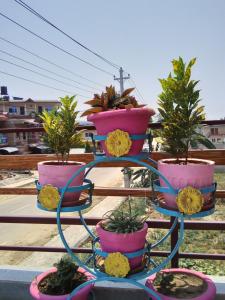 حديقة خارج Hotel Mirage Sauraha