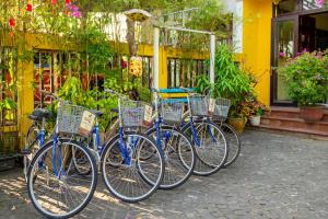 Jízda na kole v ubytování Hoi An Green Riverside Oasis Villa nebo okolí