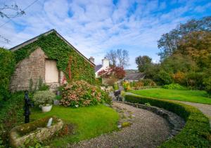 a garden with a house with ivy at Old Vicarage Cottage in Llangeler