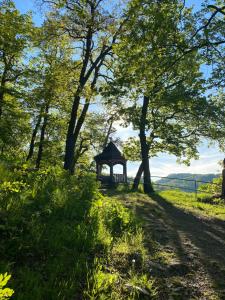 un kiosque au milieu d'un champ arboré dans l'établissement Kleines Ferienhaus zu Füßen des Rennsteigs, à Ruhla