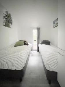 two beds sitting next to each other in a bedroom at Beachhouse Veluwemeer mit großem Garten in Strandnähe (inkl. Hallenbadnutzung) in Hulshorst
