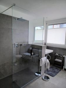 a bathroom with a sink and a glass shower at Apartment Oberwerth in Koblenz