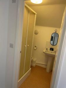 a bathroom with a sink and a toilet and a mirror at OYO The Billingford Horseshoes in Scole