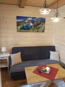 Posezení v ubytování Apartamenty i Domki Biały Dunajec