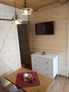 TV a/nebo společenská místnost v ubytování Apartamenty i Domki Biały Dunajec