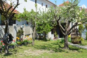 a house with trees and flowers in the yard at PINGO 1 in Despotovac
