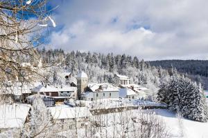 a village covered in snow with trees and houses at Appartement Lamoura in Lamoura