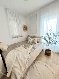 a white bedroom with a bed and a potted tree at Vineyard cottage Lan na Hribu in Semič