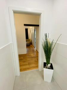 a hallway with a plant in a white pot at Siriuskogel im Zentrum von Bad Ischl in Bad Ischl