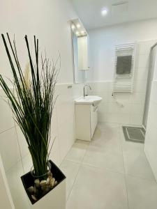 a bathroom with a sink and a potted plant at Siriuskogel im Zentrum von Bad Ischl in Bad Ischl