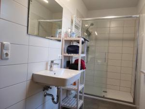 La salle de bains est pourvue d'un lavabo et d'une douche. dans l'établissement Haus Werner, à Lebus