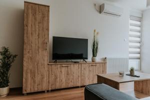 TV a/nebo společenská místnost v ubytování David 3