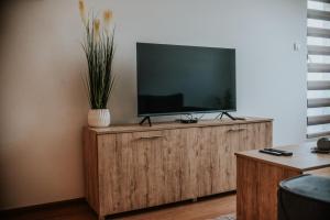 TV a/nebo společenská místnost v ubytování David 3