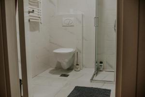een witte badkamer met een toilet en een douche bij David 3 in Ruma