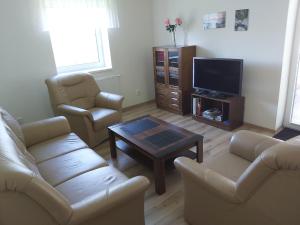 TV a/nebo společenská místnost v ubytování Apartmán Borůvka