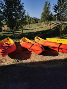 a group of kayaks lined up in a field at Activités Et Nature Appartement in Vignot