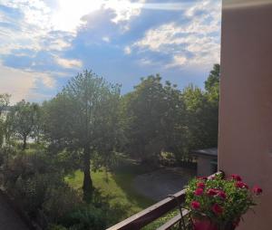 Příroda nedaleko apartmánu