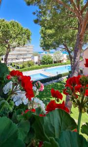 a view of a pool with red and white flowers at Il Grecale - Piscina e Ombrellone spiaggia prima fila incluso in Marcelli