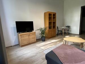TV a/nebo společenská místnost v ubytování NEST Starówka Toruń