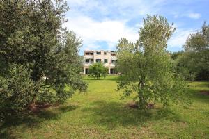 Photo de la galerie de l'établissement Apartments Vila Ana, à Seline