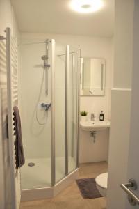 uma casa de banho com um chuveiro, um WC e um lavatório. em WG Zimmer in der World of Living K em Regensburg