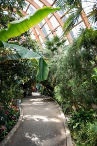 a walkway in a greenhouse with plants and trees at Miller & Carter Sheffield by Innkeeper's Collection in Sheffield