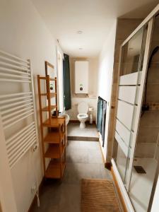 Baño pequeño con aseo y lavamanos en Appartement du pont St Etienne, en Limoges