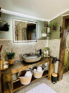 een badkamer met een wastafel en een spiegel bij Cottage, Lodge & Spa in Prouilly