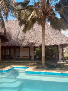 un complejo con una palmera y una piscina en Art Hotel Zanzibar en Jambiani